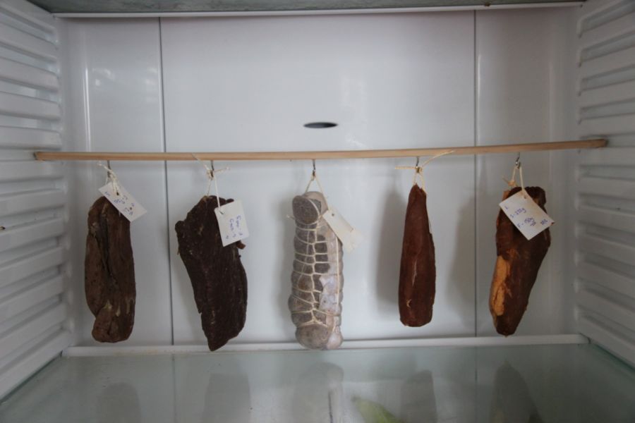 5 cured meats with twine loops haning on a stick at the back of a regular kitchen fridge.