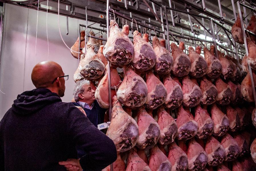 Two men inspecting a large stock of hanging cured hams in a meat processing facility or storage room.