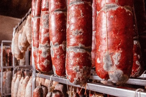 Cured sausages aging to perfection in a traditional meat locker.