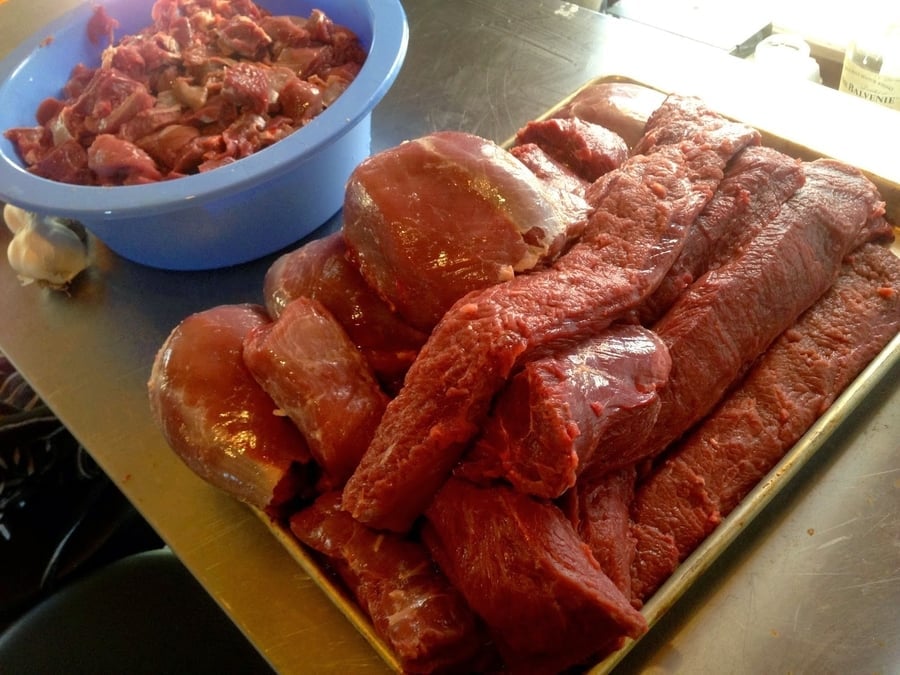 Can venison meat be tender or does being rough to chew just the