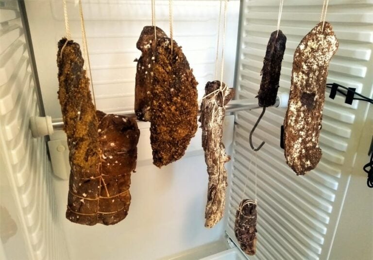 Temperature and Humidity for Meat Curing Chamber Eat Cured Meat