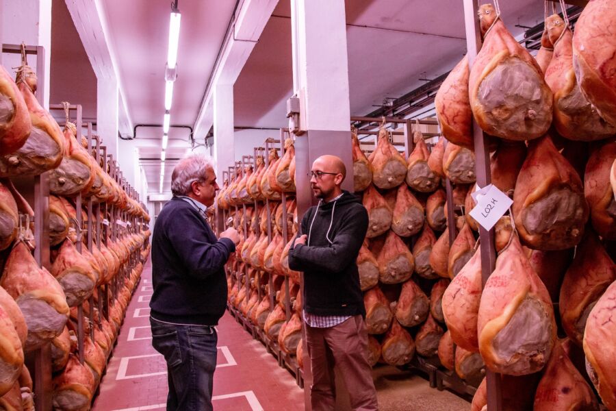 Two individuals engaged conversation amidst rows of hanging Parma ham cured meats in a storage production facilitiy.