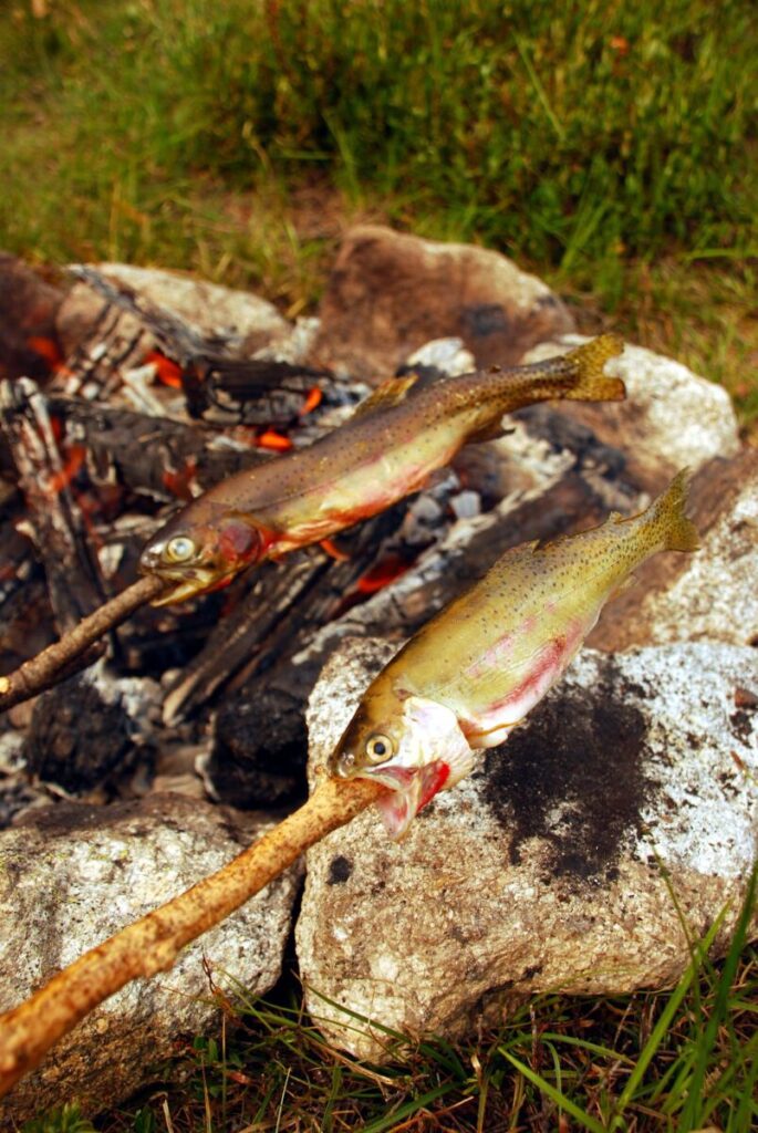 Cast Iron Trout - Over The Fire Cooking