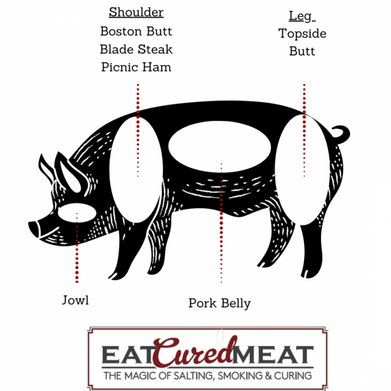 What Pork Fat to Use for Sausages (Diagrams and Details) | Eat Cured Meat