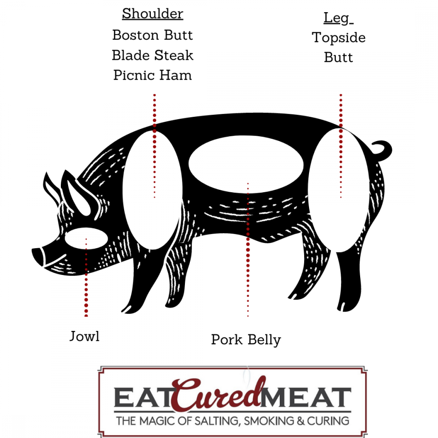 Pig meat cuts diagram