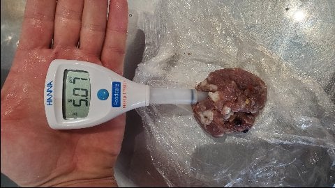 Checking the temperature of raw meat with a digital food thermometer, displaying 50.1 degrees fahrenheit.