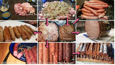 A step-by-step process of making different sausages and salami, including the comparison from meat selection to the final cured product.