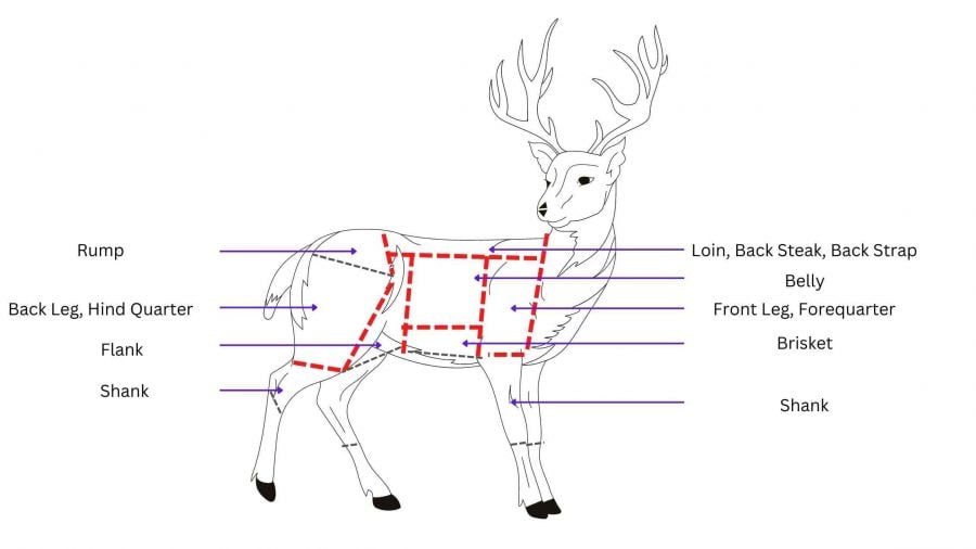 Deer Meat Cuts deer-meat-cuts