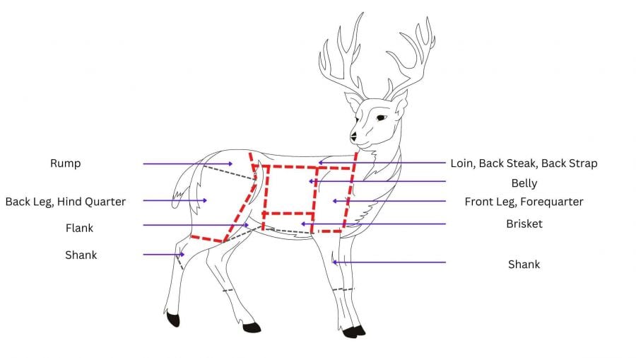 How & What to Do with Different Cuts of Deer Venison Meat