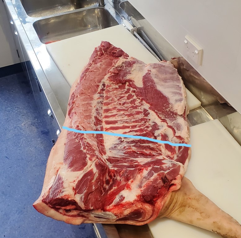 Pig butchery front leg to belly cut large