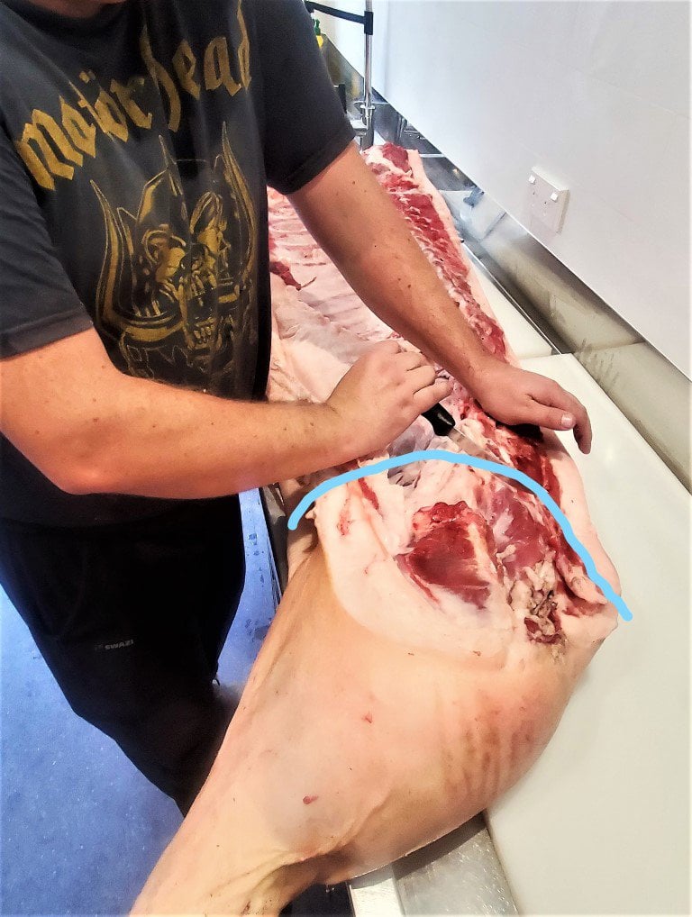 Pig butchery proscuitto ham cut large medium