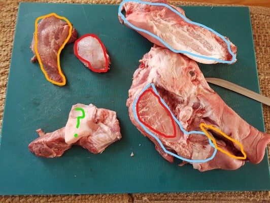 Various cuts of raw meat from whole pig butchery on a green cutting board, with some parts outlined in colorful digital markings, possibly indicating different sections or points of interest for educational or instructional purposes.