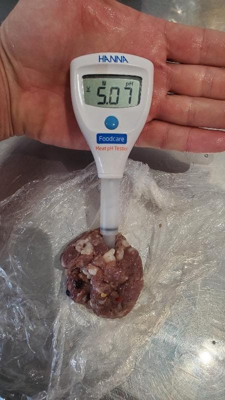 pH testing, highlights the lack of bind for this salami mixture.