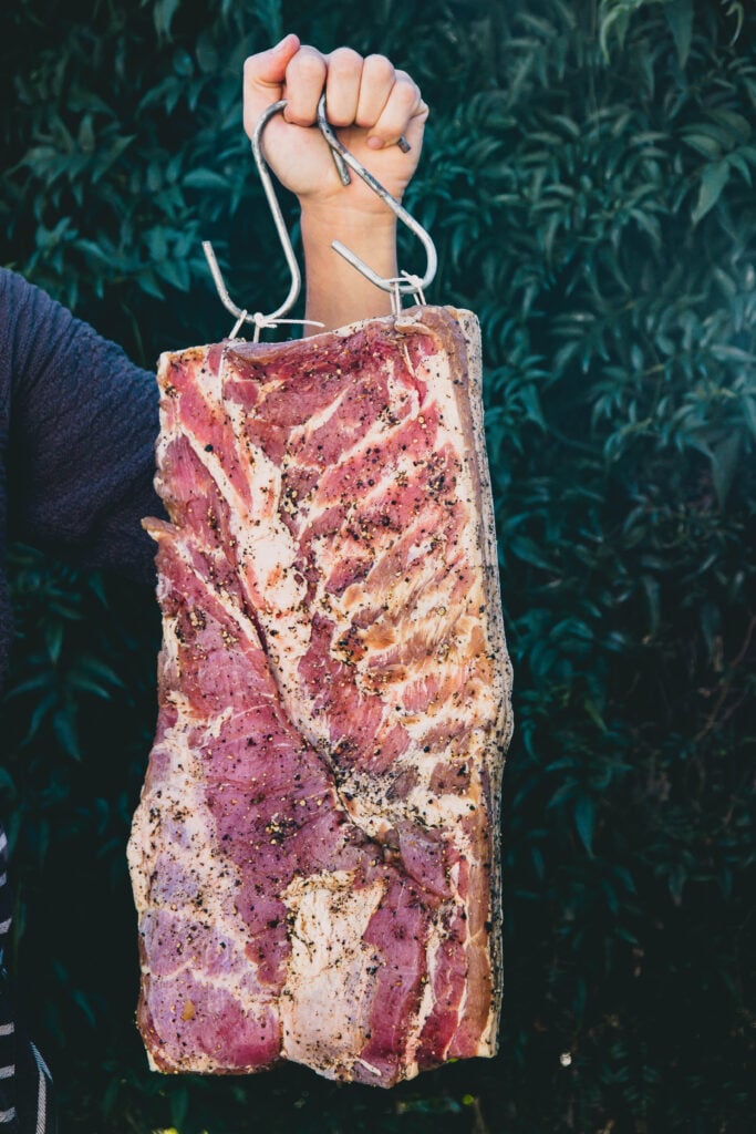 A person holding a large slab of seasoned raw meat ready for the grill, with a backdrop of lush green foliage.