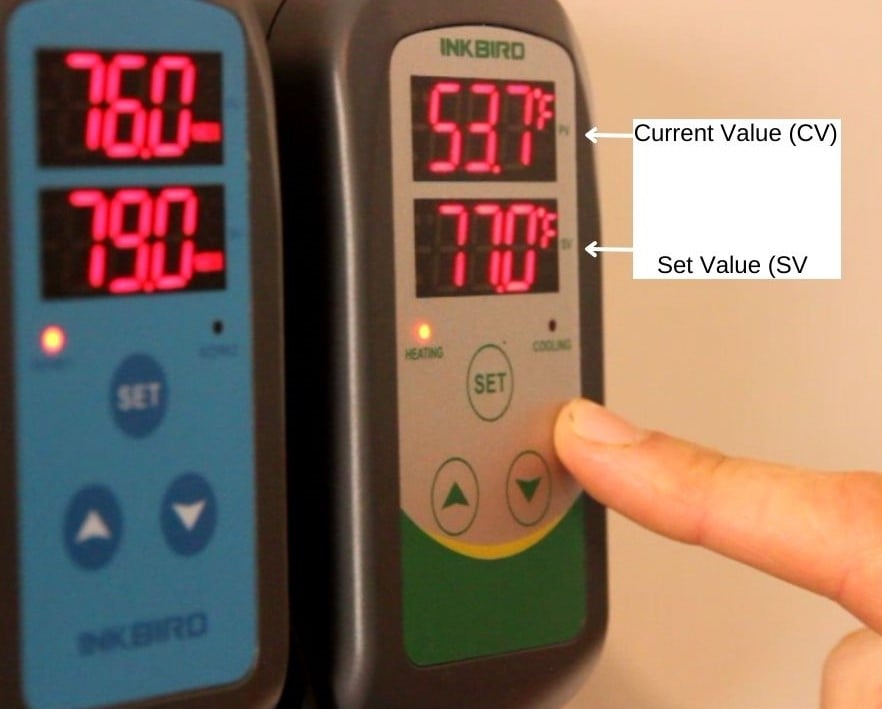 Inkbird Digital Temperature Controller