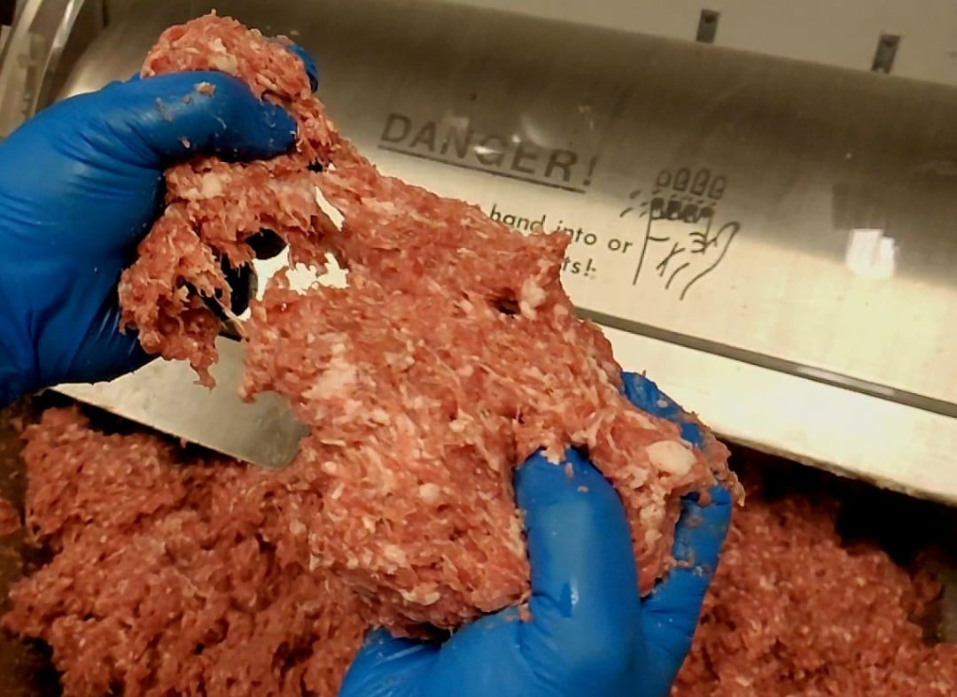 Mince or Meat Grind in a commercial mixer being pulled apart with 2 gloved hands. Showcasing the stretching of the meat mixture