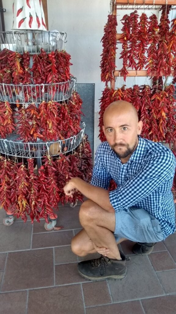 A person in a blue checkered shirt and jean shorts, identified as Tom Mueller, is crouched down next to racks filled with hanging red chili peppers. The person is looking at the camera, and the scene appears to be indoors on a tiled floor.