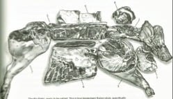 Meat Cuts for Salt Dry Curing (Fat, Texture & Structure)